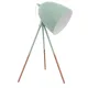 Veioza Vintage Eglo Dundee 49337, E27 1X60W, Otel, Menta