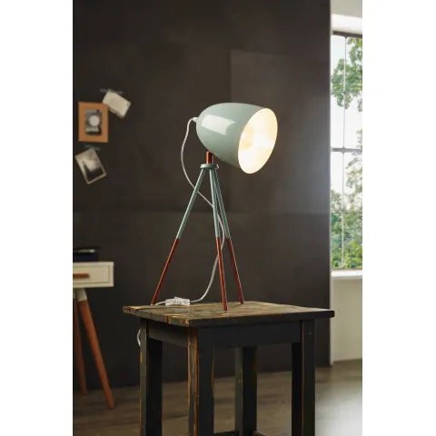 Veioza Vintage Eglo Dundee 49337, E27 1X60W, Otel, Menta
