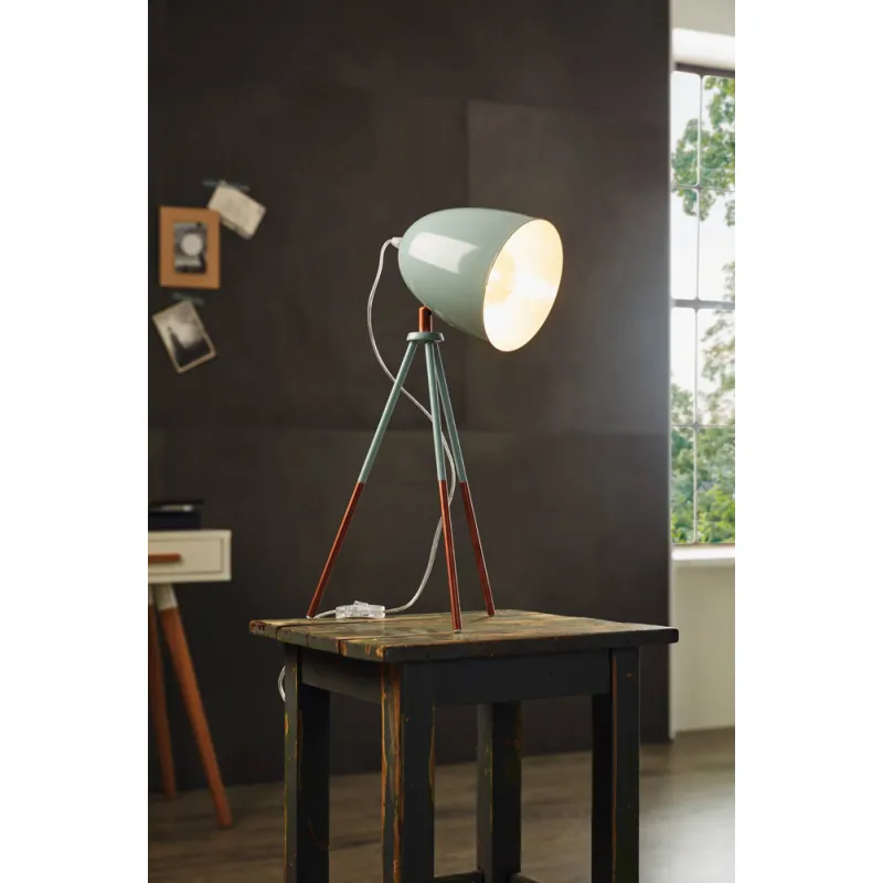 Veioza Vintage Eglo Dundee 49337, E27 1X60W, Otel, Menta