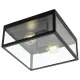 Plafoniera Vintage Eglo Charterhouse 49392, E27 2X60W, Sticla, Negru