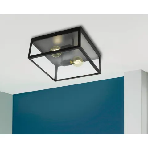 Plafoniera Vintage Eglo Charterhouse 49392, E27 2X60W, Sticla, Negru
