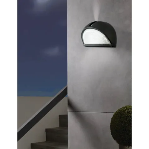 Aplica Exterior Eglo Onja 89767, E27 1X60W Ip44, Sticla, Negru