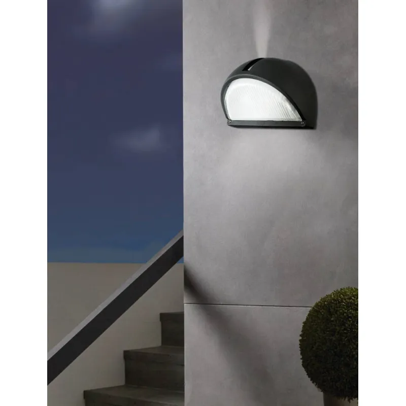 Aplica Exterior Eglo Onja 89767, E27 1X60W Ip44, Sticla, Negru