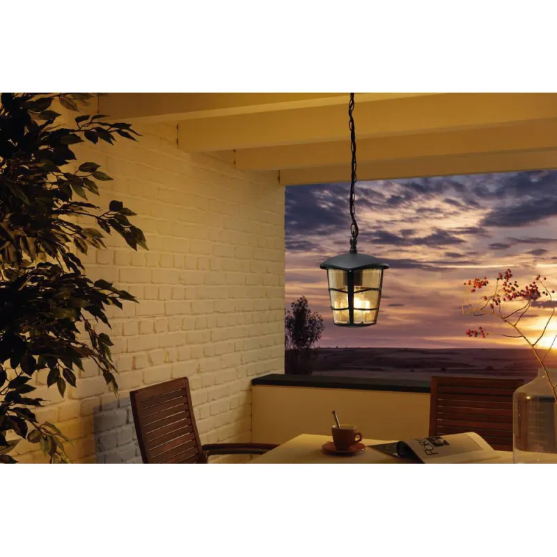 Pendul Exterior Eglo Aloria 93406, E27 1X60W Ip44, Transparent