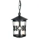 Pendul Exterior Hereford de la Elstead E27, Negru, Bl13B-Black, UK