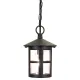 Pendul Exterior Hereford de la Elstead E27, Negru, Bl21B-Black, UK