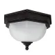 Plafoniera Exterior Fairford Garden Zone de la Elstead E27, Bronz, Gzh-Ff12, UK