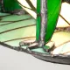 Veioza Copii Tiffany Animal Lamps Quoizel de la Elstead G9, Verde, Qz-Frog-Tl, UK