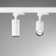 Spot Sina 1 Faza Ideal Lux Fox 08W Cri80 41° 3000K Wh Led, Alb, 250410, Italia