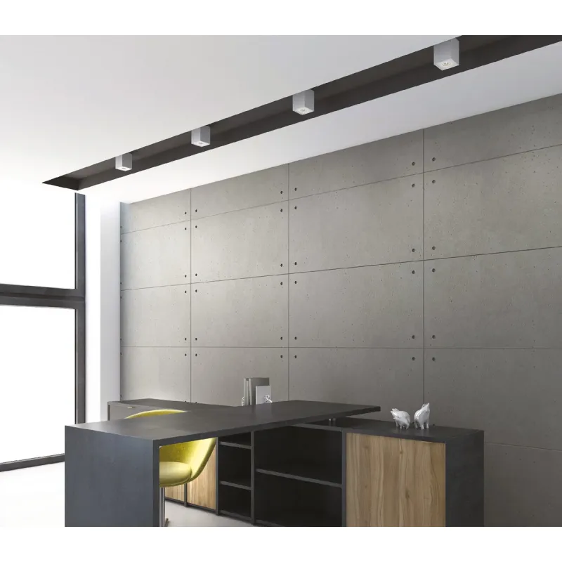 Spot Aplicat BASIC SQUARE C0070 Max Light GU10, Alb, Polonia