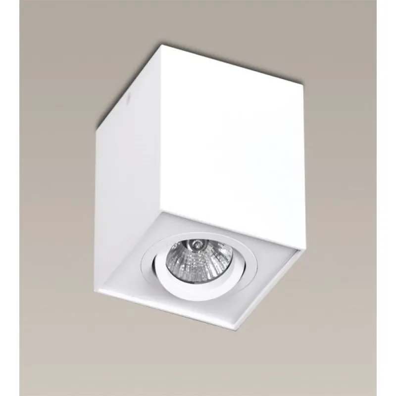Spot Aplicat BASIC SQUARE C0070 Max Light GU10, Alb, Polonia
