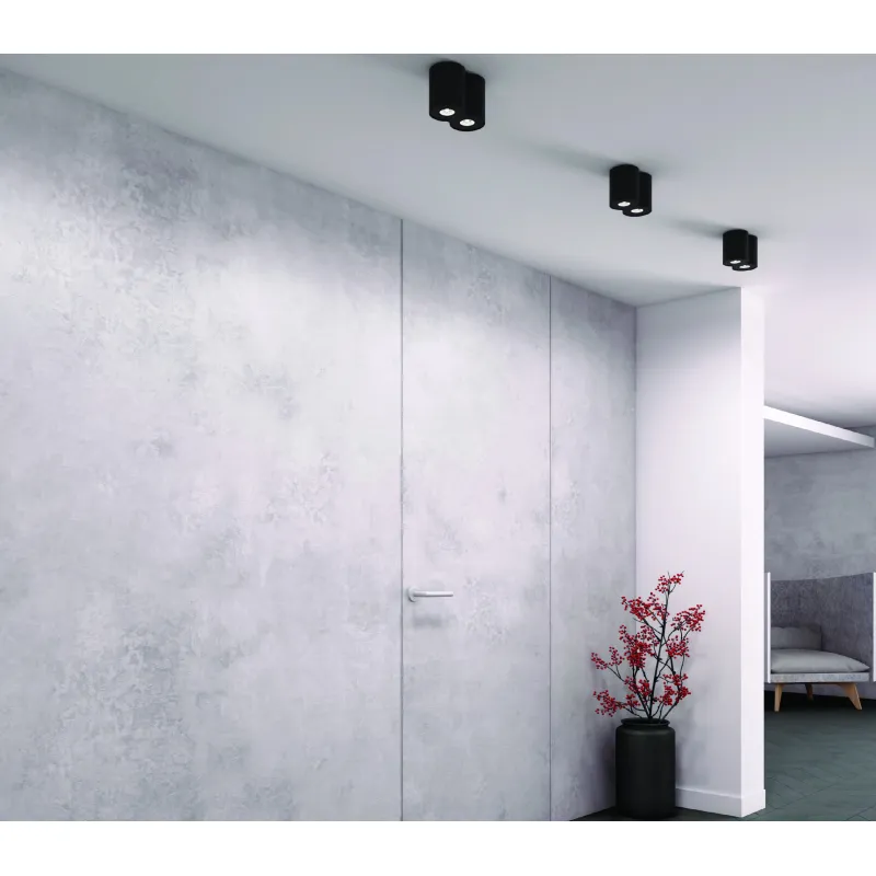 Spot Aplicat BASIC ROUND C0086 Max Light GU10, Negru, Polonia