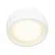 Plafoniera KODAK II C0135 Max Light LED, Alb, Polonia