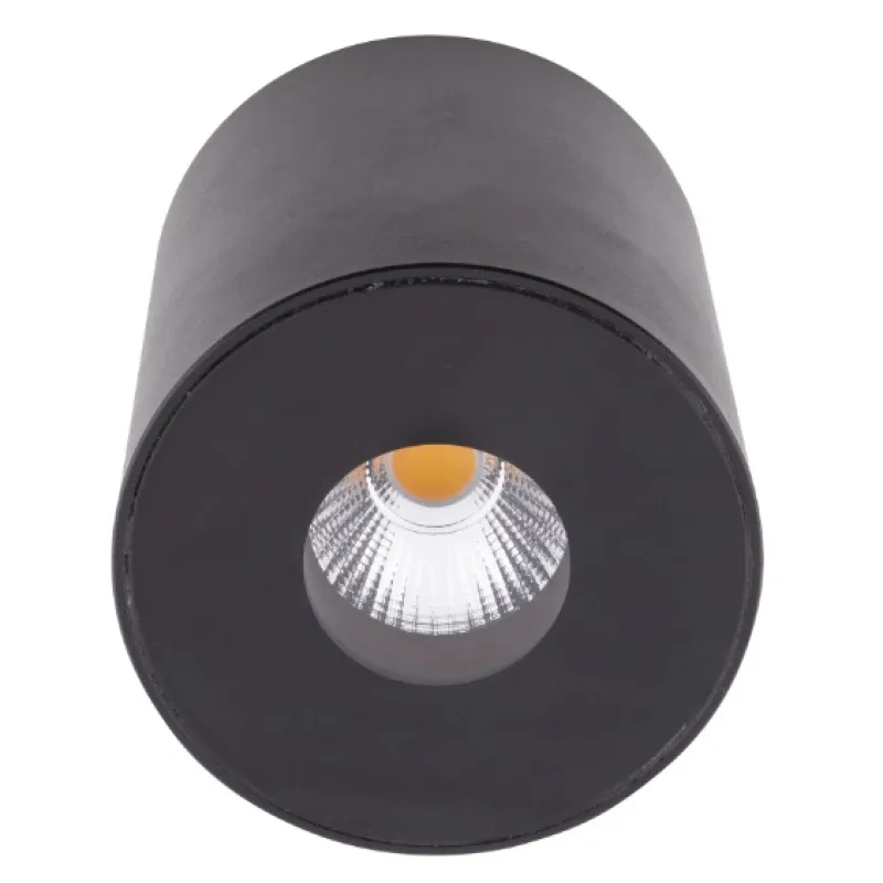 Spot Aplicat PLAZMA C0151 Max Light LED, Negru, Polonia