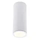 Spot Aplicat LONG C0153 Max Light LED, Alb, Polonia