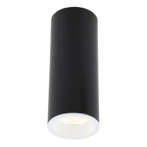 Spot Aplicat LONG C0154 Max Light LED, Negru, Polonia