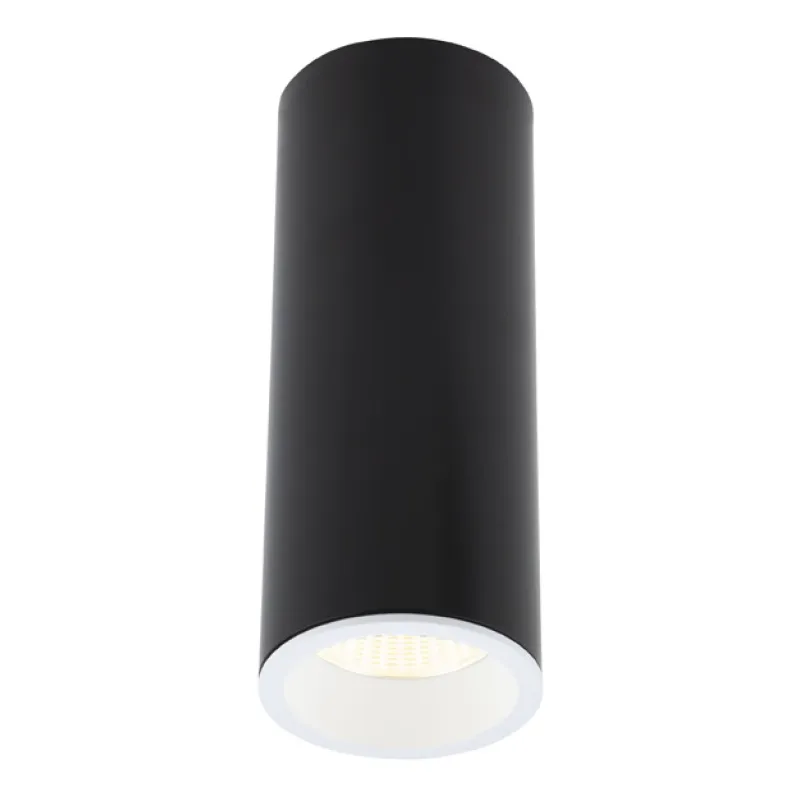 Spot Aplicat LONG C0154 Max Light LED, Negru, Polonia