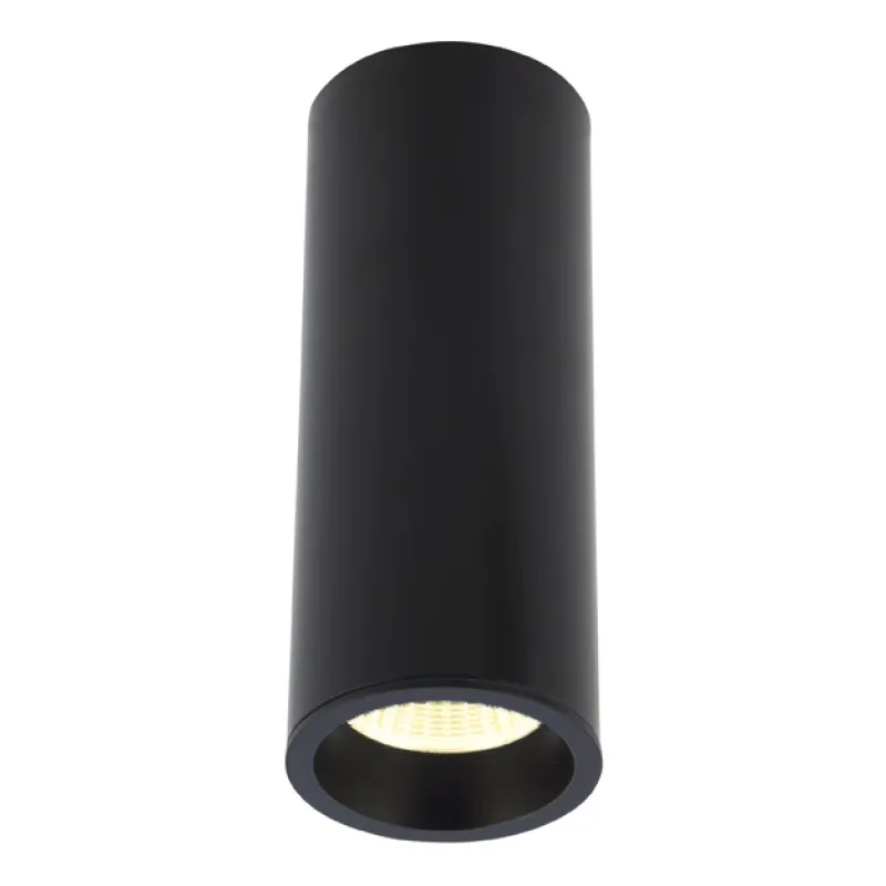 Spot Aplicat LONG C0154 Max Light LED, Negru, Polonia