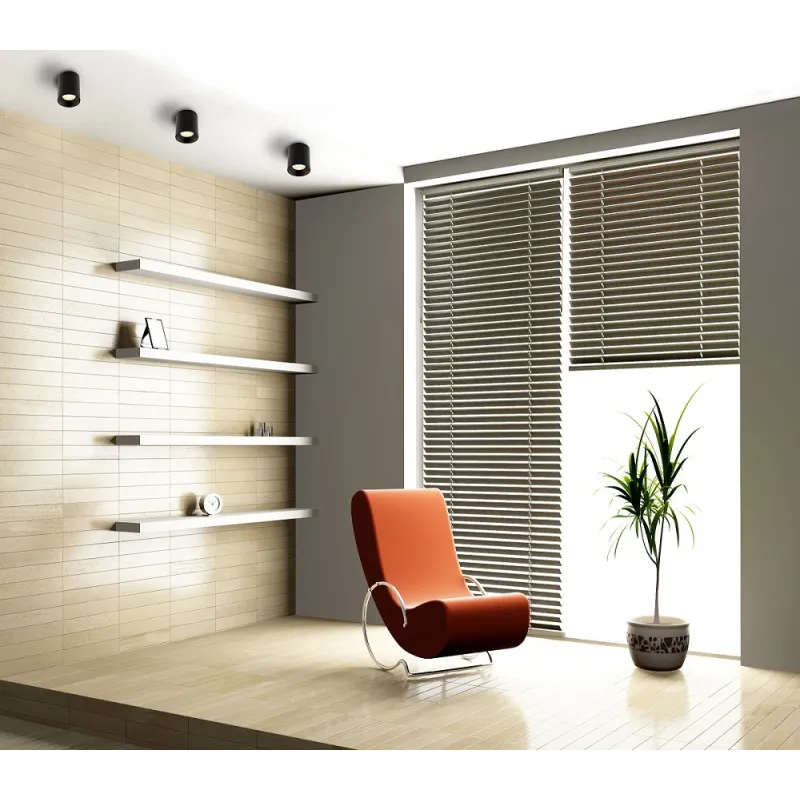 Spot Aplicat CHIP C0163 Max Light LED, Negru, Polonia