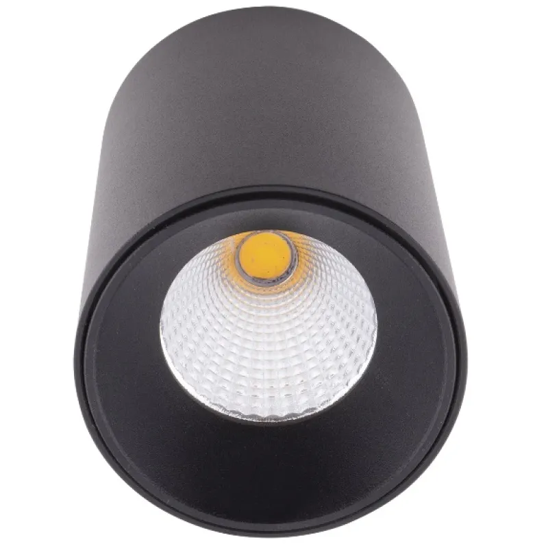Spot Aplicat CHIP C0163 Max Light LED, Negru, Polonia