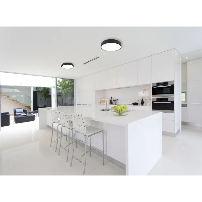 Plafoniera ROUNDY C0214 Max Light LED, Negru, Polonia