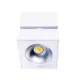 Spot Aplicat ARTU C0106 Max Light LED, Alb, Polonia