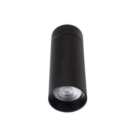 Spot Aplicat HALO C0246 Max Light LED, Negru, Polonia