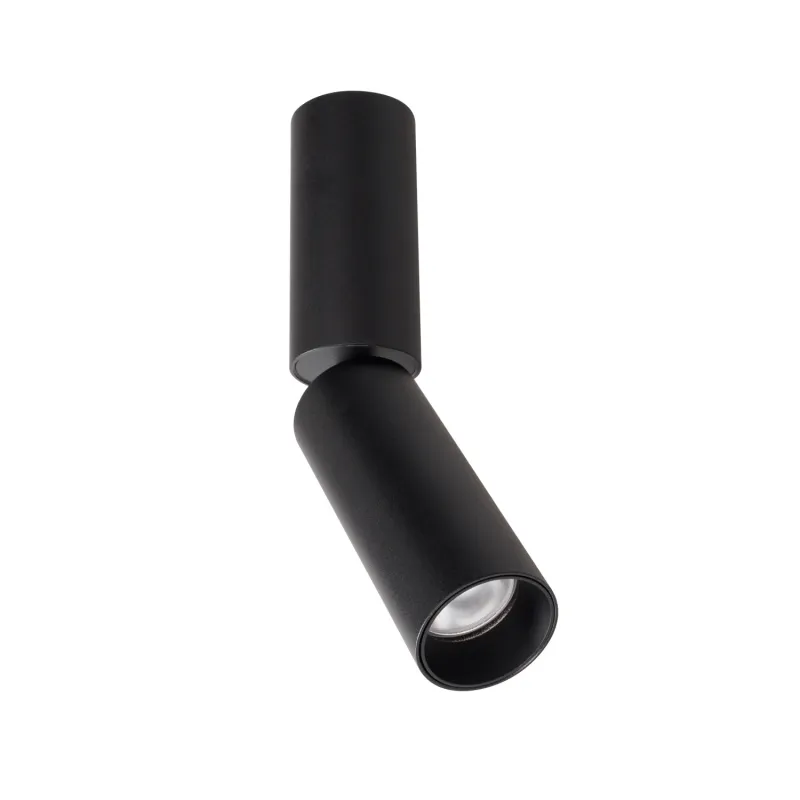 Spot Aplicat HALO C0248 Max Light LED, Negru, Polonia