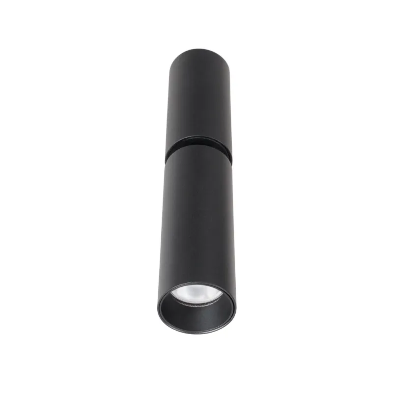 Spot Aplicat HALO C0248 Max Light LED, Negru, Polonia