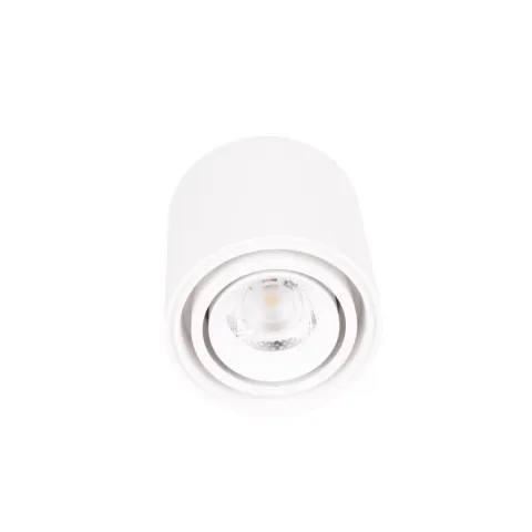 Spot Aplicat FIX C0256 Max Light LED, Alb, Polonia