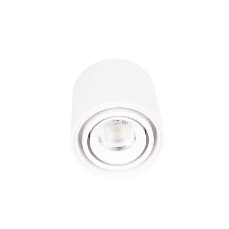 Spot Aplicat FIX C0256 Max Light LED, Alb, Polonia