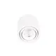 Spot Aplicat FIX C0256 Max Light LED, Alb, Polonia