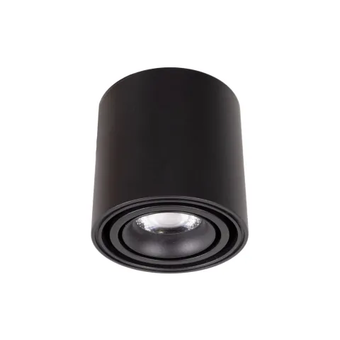 Spot Aplicat FIX C0257 Max Light LED, Negru, Polonia