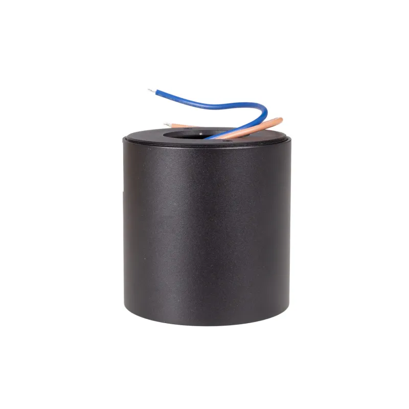 Spot Aplicat FIX C0257 Max Light LED, Negru, Polonia