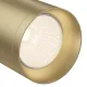 Downlight Circular Focus Maytoni GU10, Auriu, C017CW-01MG, Germania