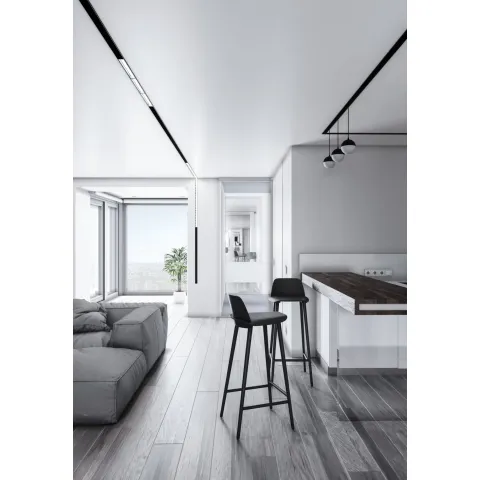 Sina Magnetica Aplicata Busbar Maytoni, Negru, TRX004-211B, Germania