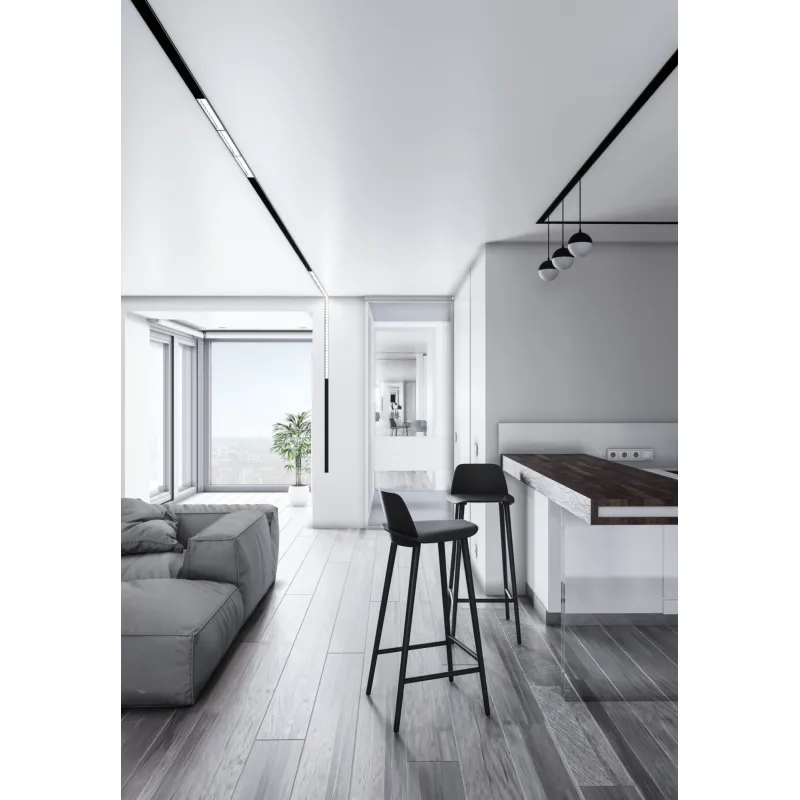 Sina Magnetica Aplicata Busbar Maytoni, Negru, TRX004-211B, Germania