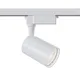 Downlight Sina 1 Faza Maytoni Led, Alb, TR003-1-12W4K-W, Germania