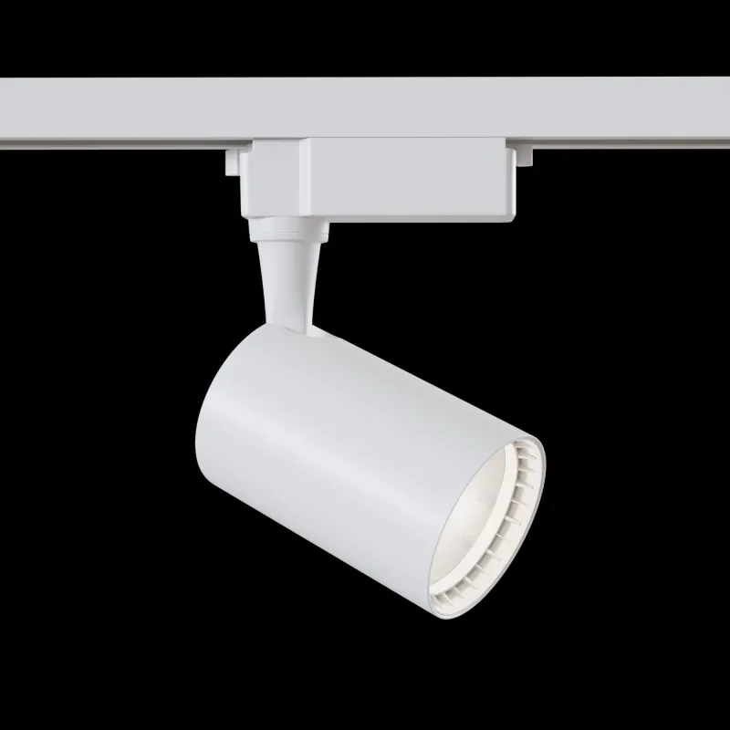 Downlight Sina 1 Faza Maytoni Led, Alb, TR003-1-12W4K-W, Germania