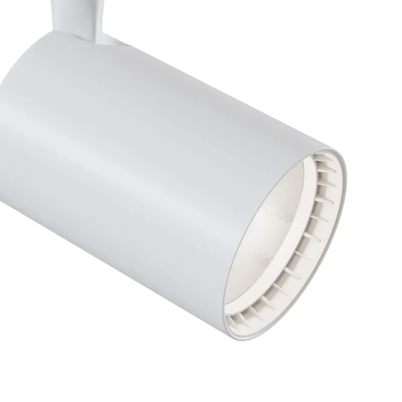 Downlight Sina 1 Faza Maytoni Led, Alb, TR003-1-12W4K-W, Germania