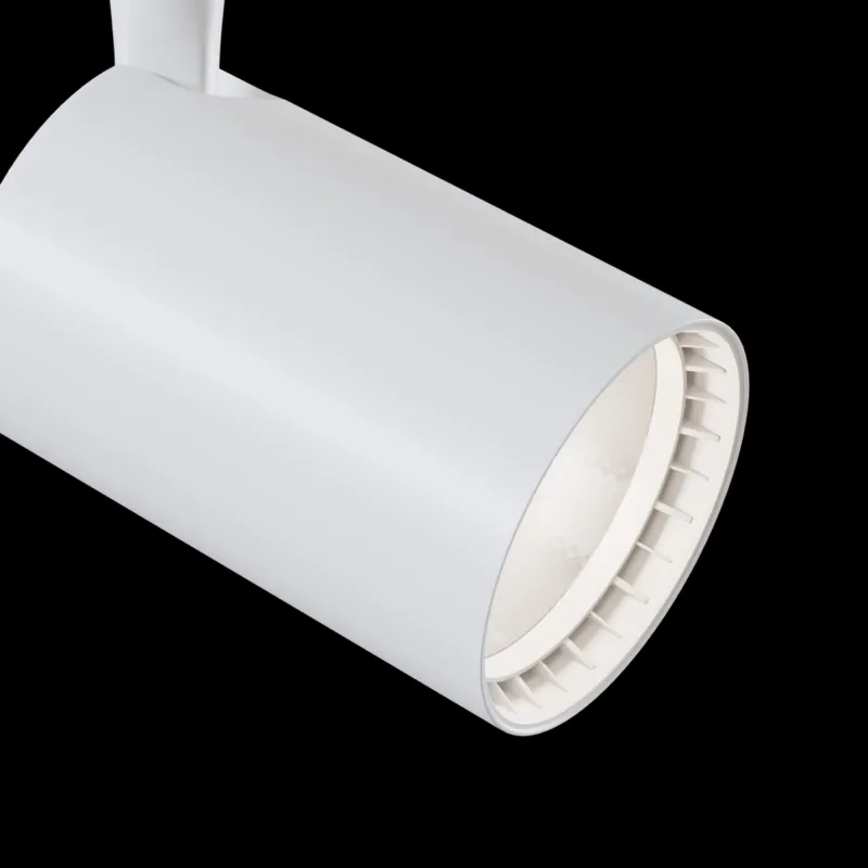 Downlight Sina 1 Faza Maytoni Led, Alb, TR003-1-12W4K-W, Germania