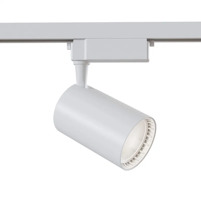 Downlight Sina 1 Faza Maytoni Led, Alb, TR003-1-30W4K-W, Germania