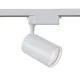 Downlight Sina 1 Faza Maytoni Led, Alb, TR003-1-30W4K-W, Germania