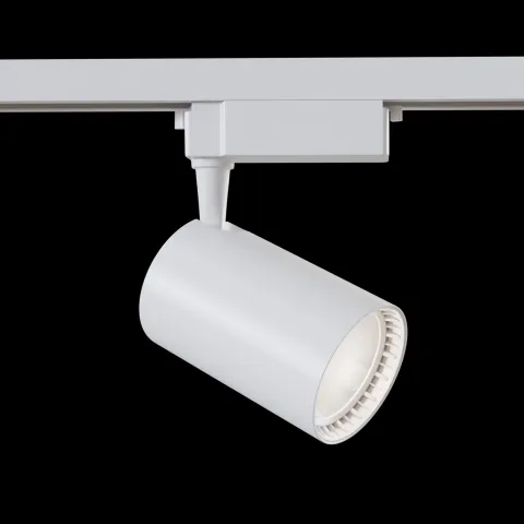 Downlight Sina 1 Faza Maytoni Led, Alb, TR003-1-30W4K-W, Germania