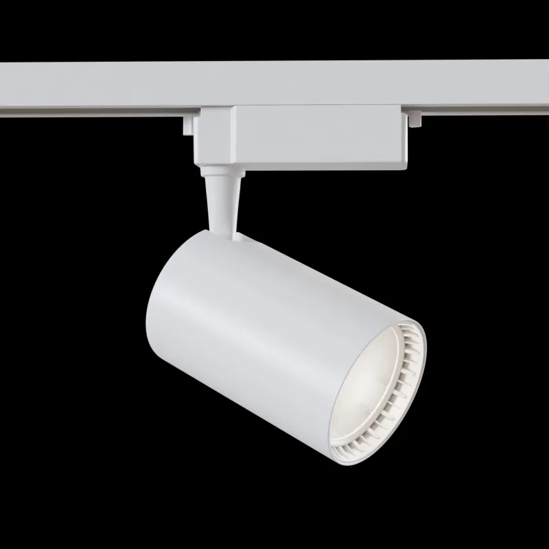 Downlight Sina 1 Faza Maytoni Led, Alb, TR003-1-30W4K-W, Germania