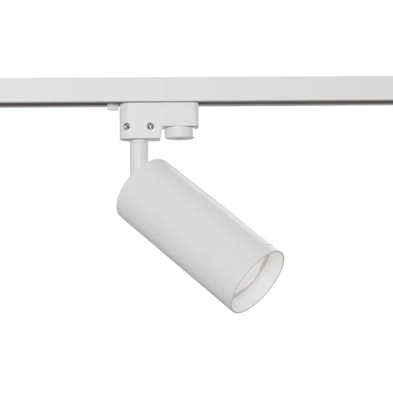 Downlight Sina Focus Maytoni GU10, Alb, TR004-1-GU10-W, Germania