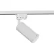 Downlight Sina Focus Maytoni GU10, Alb, TR004-1-GU10-W, Germania