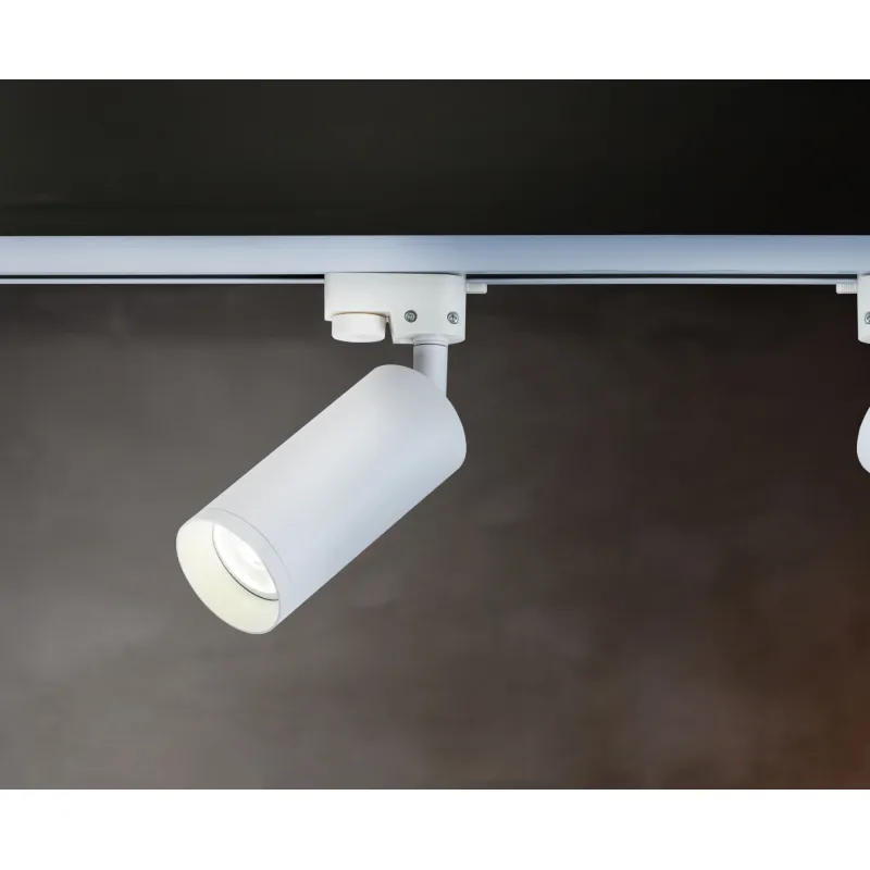 Downlight Sina Focus Maytoni GU10, Alb, TR004-1-GU10-W, Germania