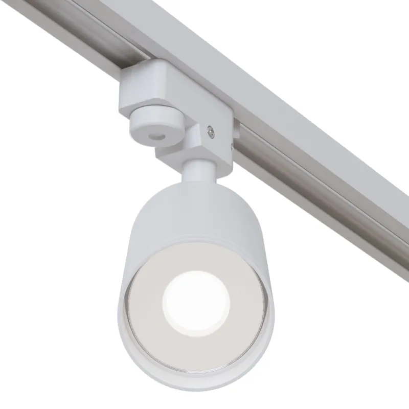 Downlight Sina Focus Maytoni GU10, Alb, TR004-1-GU10-W, Germania