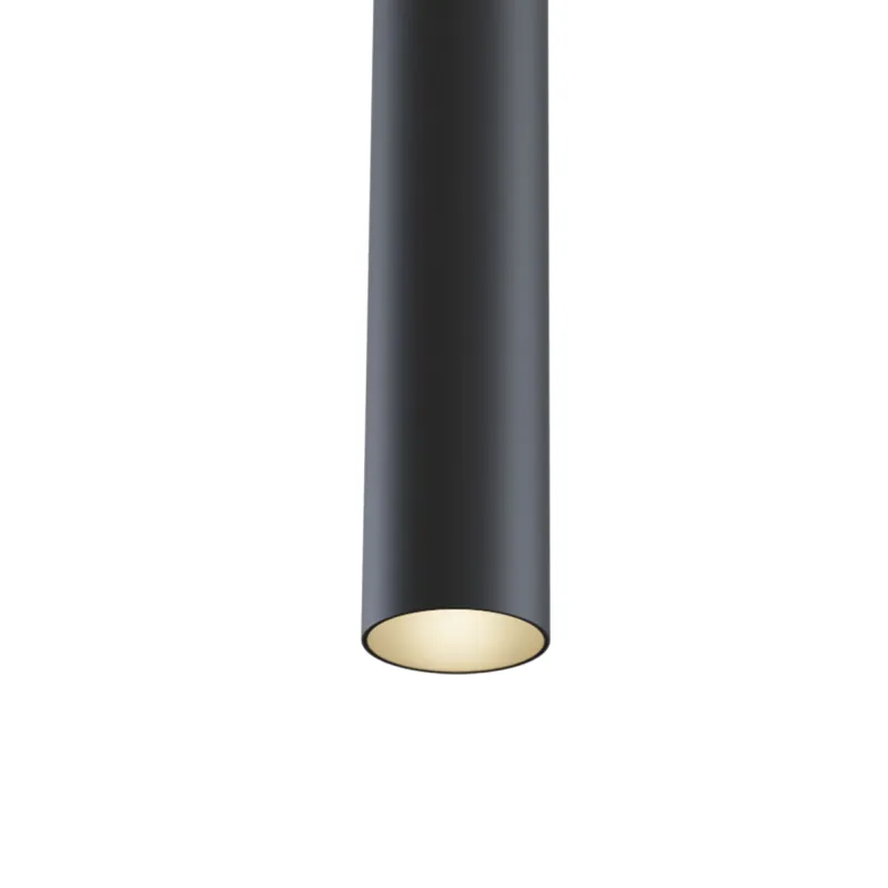 Pendul Sina Magnetica Maytoni Led, Negru, TR016-2-12W3K-B, Germania